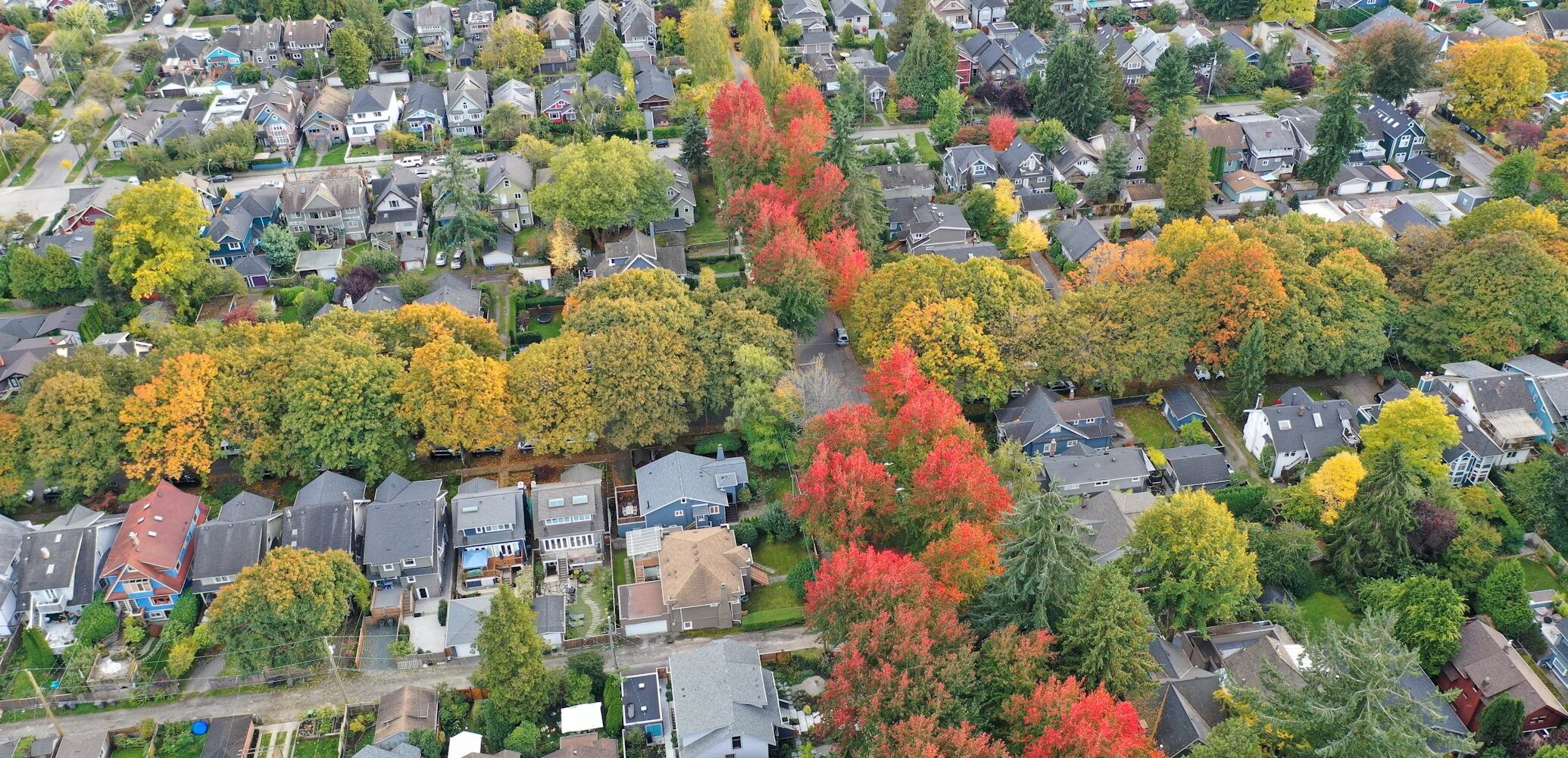lines of houses separated by trees