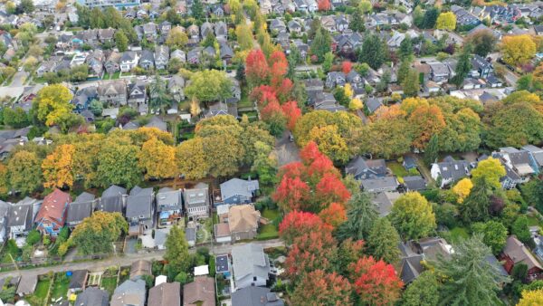 lines of houses separated by trees